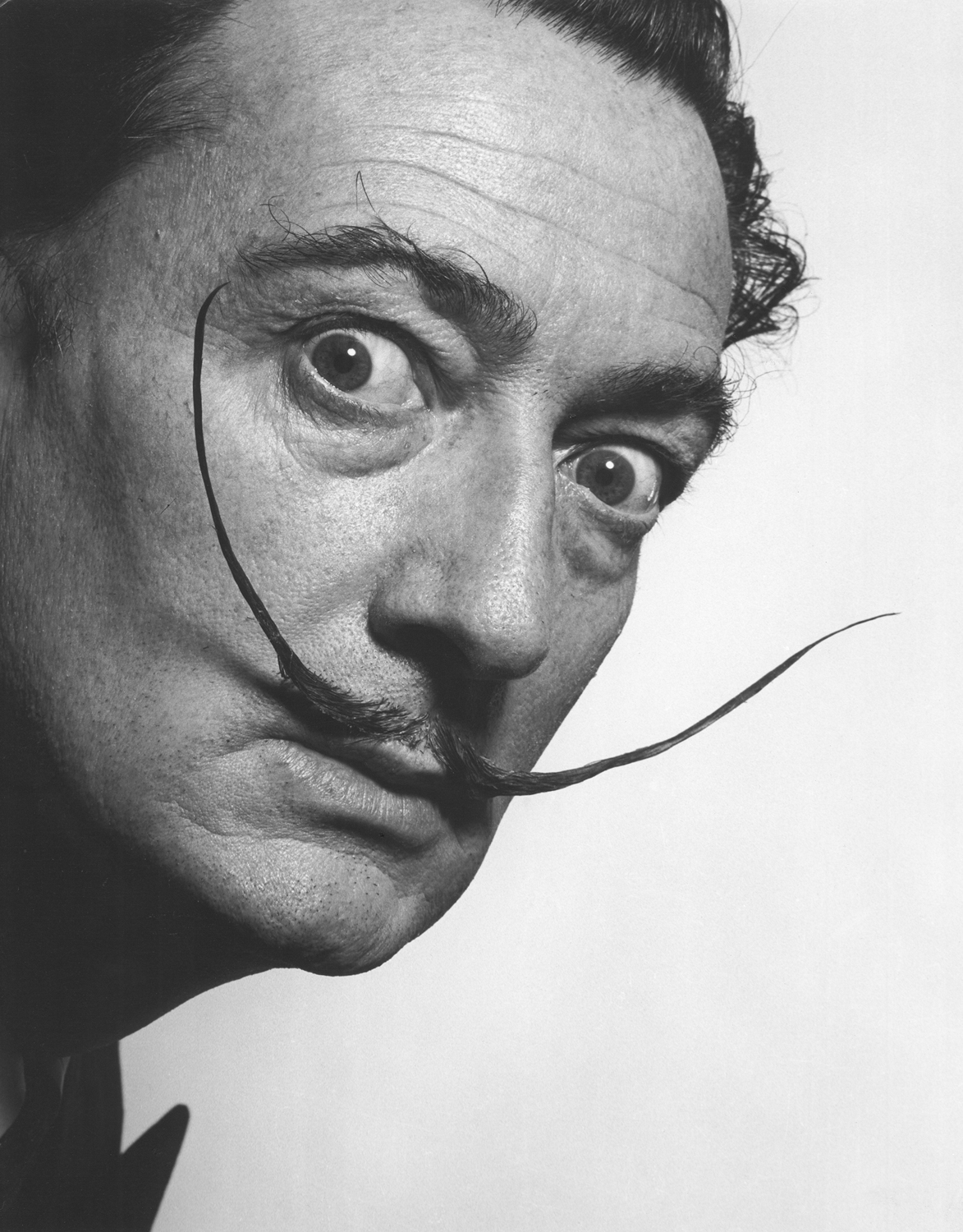 Dalí - Üdvözöllek az agyamban